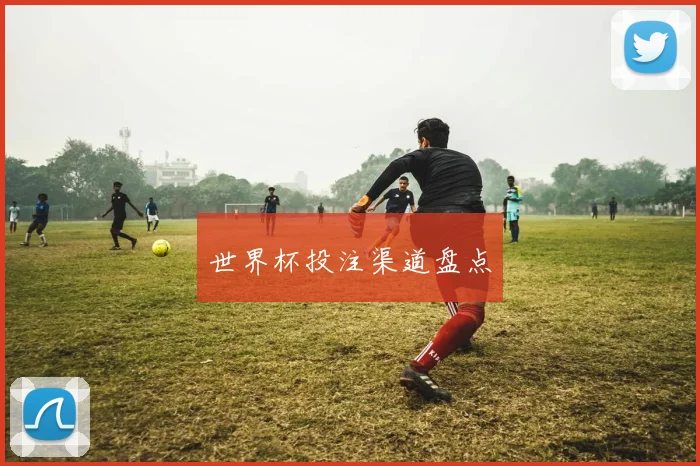 世界杯投注渠道盘点
