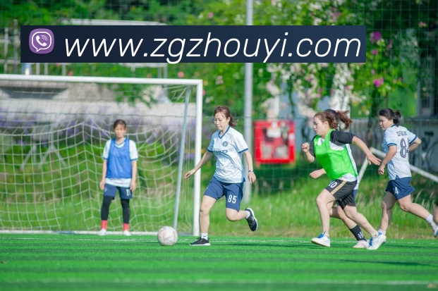 乐鱼app登录入口官网APP 封面图